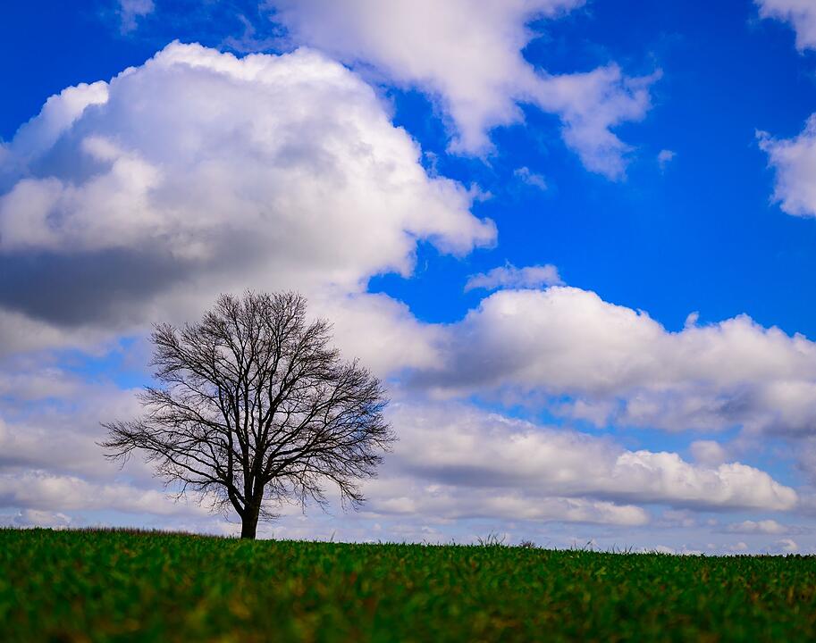 Wetter in Brandenburg