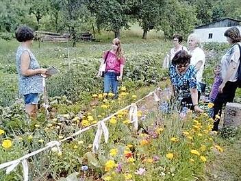 Die Teilnehmer bewundern den Bauerngarten. Fotos: privat