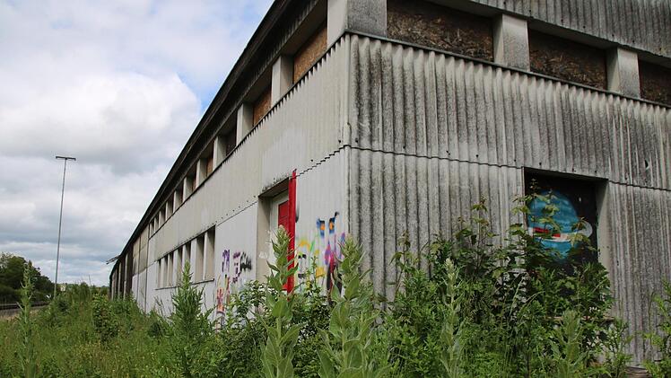 Bevor dieses verwilderte städtische Areal an der Bahnlinie ein Parkplatz wird, sind zahlreiche Vorarbeiten zu erledigen. Heike Beudert