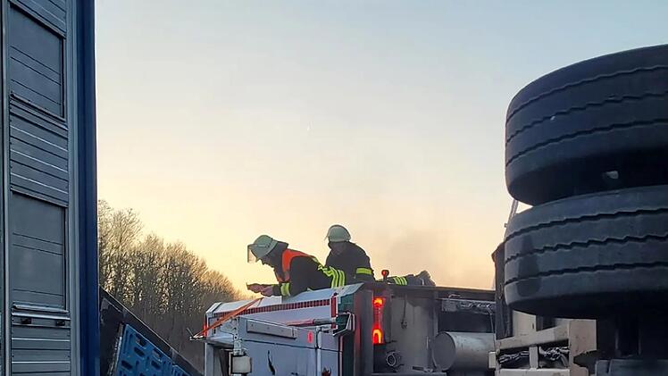 A7 bei Frickenhausen: Viehtransporter umgekippt - Einsatzkr&auml;fte fangen frei laufende Rinder ein