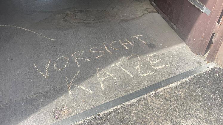 Ausgesetzter Kater in W&uuml;rzburg &ndash; Kreidehinweise f&uuml;hren Retter zum Tier