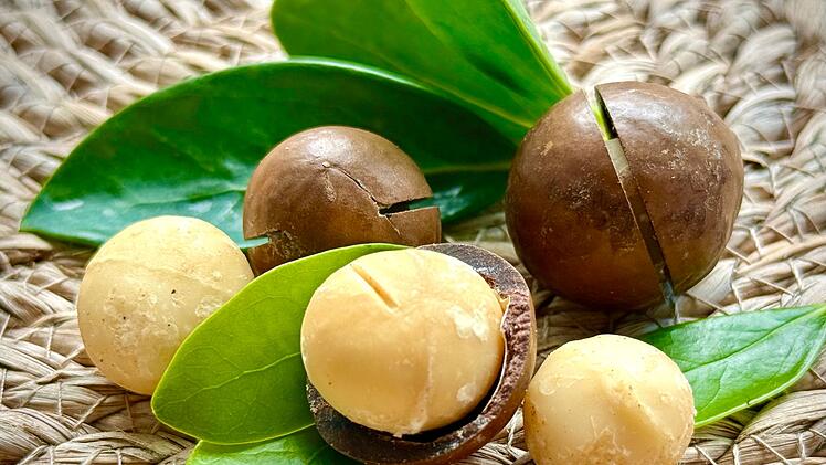 Macadamia-N&uuml;sse