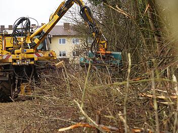 Die Maschine holzt das Gestrüpp ab. Foto: Arkadius Guzy