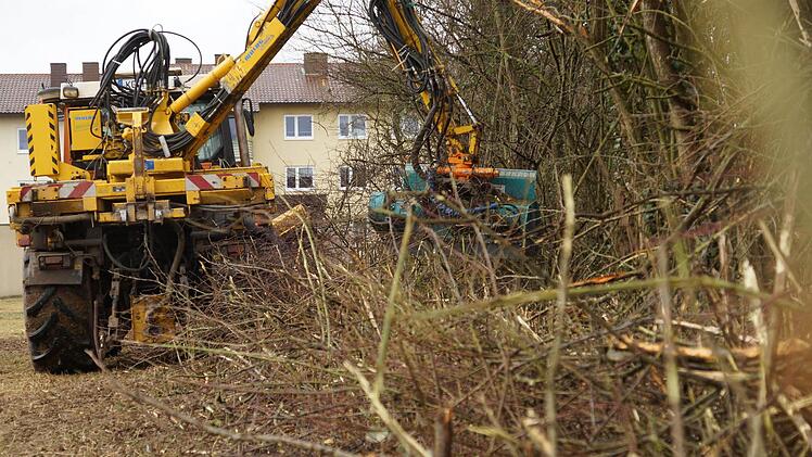 Die Maschine holzt das Gestrüpp ab. Foto: Arkadius Guzy
