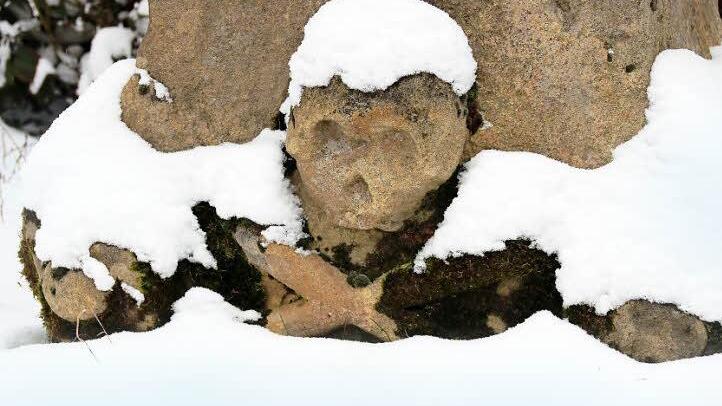 Der Winter 2012/13 ist offenbar nicht totzukriegen. Am Wochenende zeigte er im Landkreis nochmals sein grimmiges Gesicht. Unser Bild entstand in Unterpreppach.  Foto: Eckehard Kiesewetter