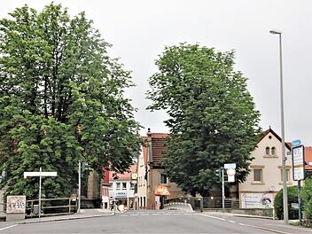 Die Spitalbrücke in Kronach wird erneuert. Die Stadträte müssen nun die Frage klären, ob wegen der Baumaßnahme die beiden stadtbildprägenden und über 70 Jahre alten Bäume beseitigt werden müssen.  Foto: Veronika Schadeck