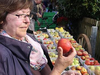 Christine Ziermann freut sich, dass viele alte Apfelsorten jetzt wieder angebaut werden.  Foto: Galster