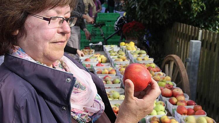 Christine Ziermann freut sich, dass viele alte Apfelsorten jetzt wieder angebaut werden.  Foto: Galster