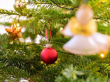 Würzburg: Gartenamt stellt in den nächsten Tagen 16 Weihnachtsbäume auf