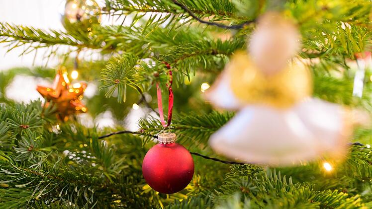 Würzburg: Gartenamt stellt in den nächsten Tagen 16 Weihnachtsbäume auf