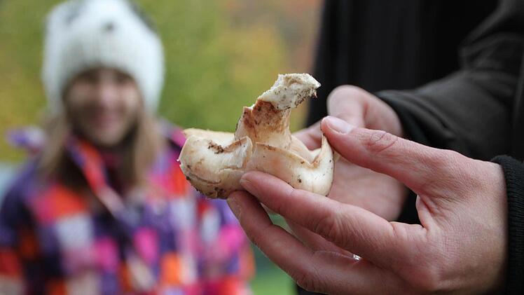 Schon nach wenigen hundert Metern werden die Kinder fündig: Jessica (hinten) ist noch etwas unsicher, um was für einen Pilz es sich handelt. Foto: Ulrike Müller