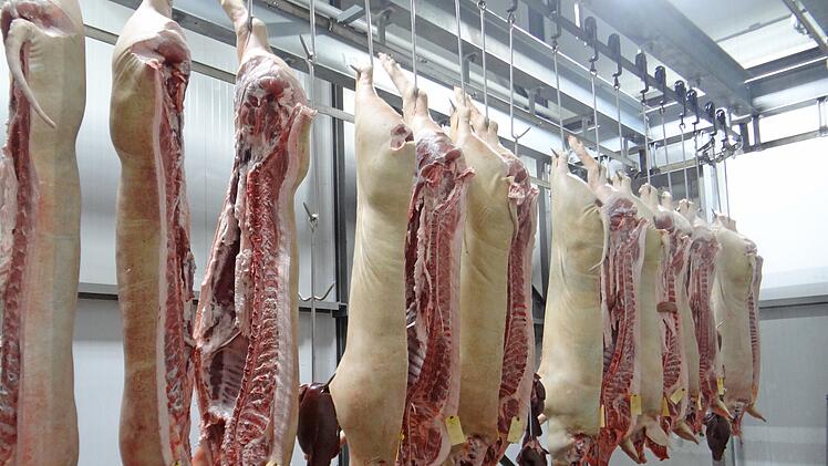 Bamberg: Kurioser Diebstahl am Schlachthof - Mitarbeiter klaut 200 Schweine