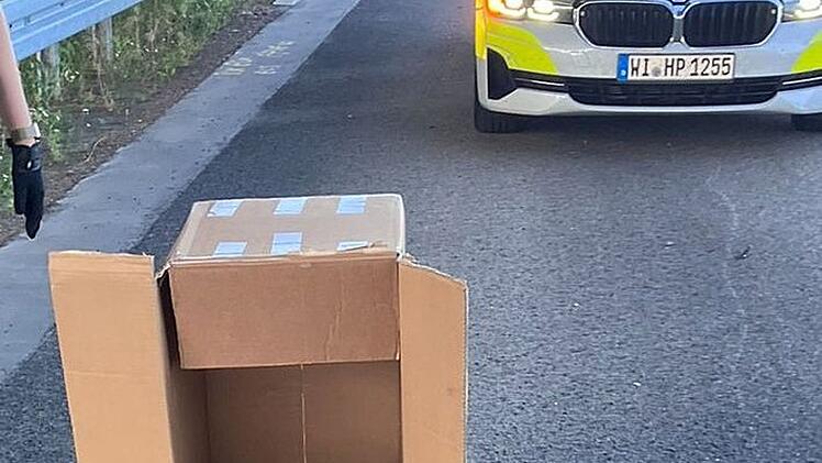 Polizei rettet verletzten Uhu