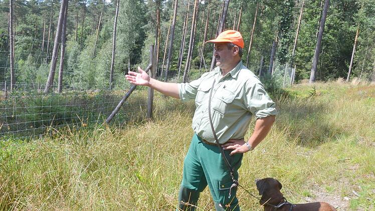 Bernhard Krötzner zeigt eine Fläche, auf der junge Eichen angepflanzt wurden.