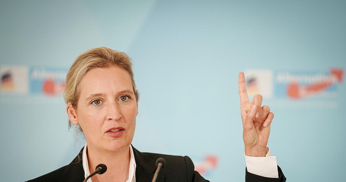 Mödlareuth: AfD leader Alice Weidel cancels rally before state elections ...