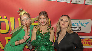 Fasching 2025 in Schweinfurt!