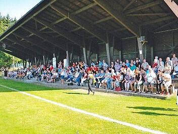 Die freitragende Holztribüne auf der Pressecker Alfred-Bodenschatz-Sportstätte muss dringend saniert werden. Foto: Gerd Leinfelder