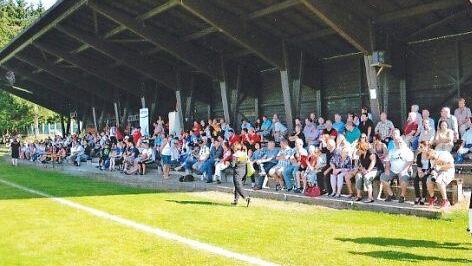 Die freitragende Holztribüne auf der Pressecker Alfred-Bodenschatz-Sportstätte muss dringend saniert werden. Foto: Gerd Leinfelder