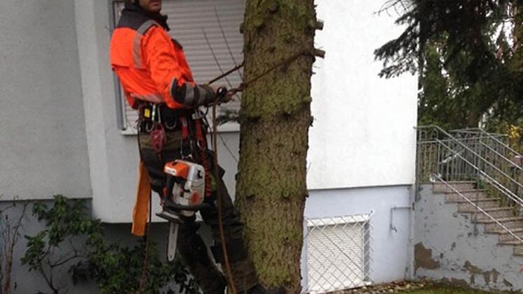 Irakli Zhvania demonstriert die Arbeit eines Baumpflegers. Foto: Olaf de Vries