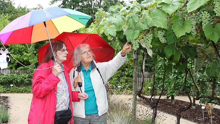 Trotz Regen  bummelten die Besucher durch den Obstlehrgarten und informierten sich später auch beim Rundgang mit Fachberater Thomas Neder. Foto: Wolfgang Desombre
