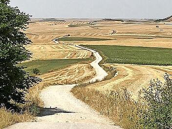 Pfarrer Ries erz&auml;hlt: Hitze und Humor auf Pilgerreise