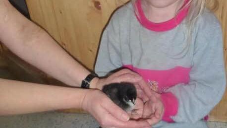 Lilly und ein Küken Foto: privat