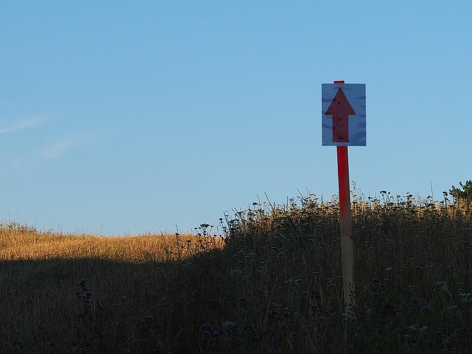 Das verlassene Dorf Bonnland darf bei einer Wanderung durch den Truppenübungsplatz Hammelburg nicht fehlen. Foto: Jürgen Schmitt