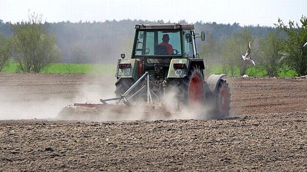 Die B&ouml;den im Aischgrund - wie hier gestern bei Gremsdorf - sind im Augenblick staubtrocken. Noch kommen die Landwirte damit zurecht, doch im Mai sollte es regnen.  Fotos: Andreas Dorsch