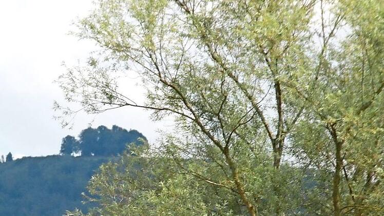 Der imposante Lindenkranz des Veitsbergs ist weithin zu sehen.