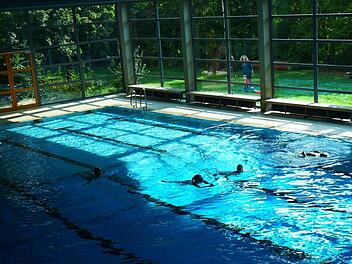 Viele Wasserratten aus Zeil und dem Landkreis Haßberge besuchen mehr oder weniger regelmäßig das Zeiler Hallenbad. Foto: Hallenbadverein Zeil