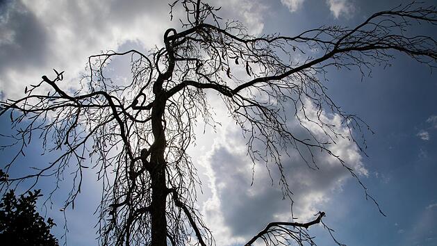 Das Wetter in Franken am langen 1.-Mai-Wochenende: Erst Regen und frischer Wind (sogar Sturmb&ouml;en sind m&ouml;glich), zum 1. Mai dann deutlich k&uuml;hler. Symbolfoto: Mohssen Assanimoghaddam/dpa