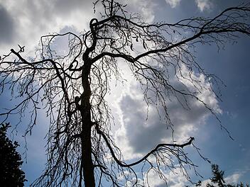 Das Wetter in Franken am langen 1.-Mai-Wochenende: Erst Regen und frischer Wind (sogar Sturmböen sind möglich), zum 1. Mai dann deutlich kühler. Symbolfoto: Mohssen Assanimoghaddam/dpa