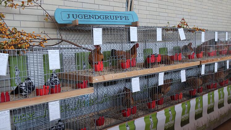 Impressionen aus der Ausstellung   Foto: Johanna Blum