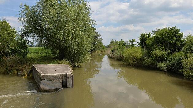 Foto: Ronald Rinklef