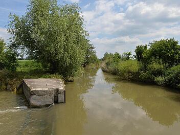 Foto: Ronald Rinklef