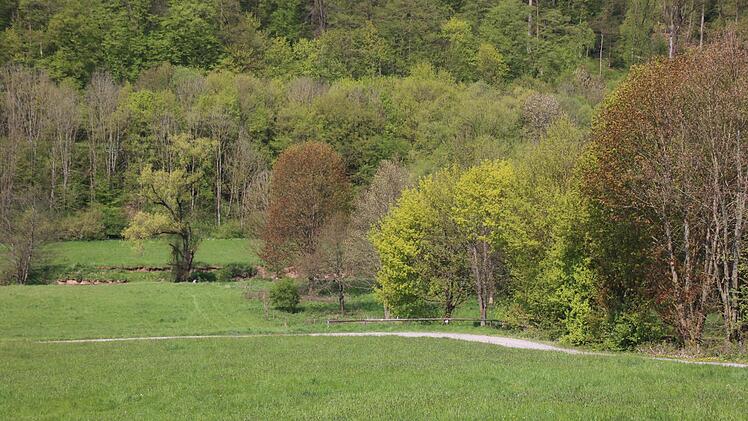 Hier unterhalb des Golfclubs ist eine bis zu 130 Meter lange Brücke vorgesehen. Foto: Ralf Ruppert