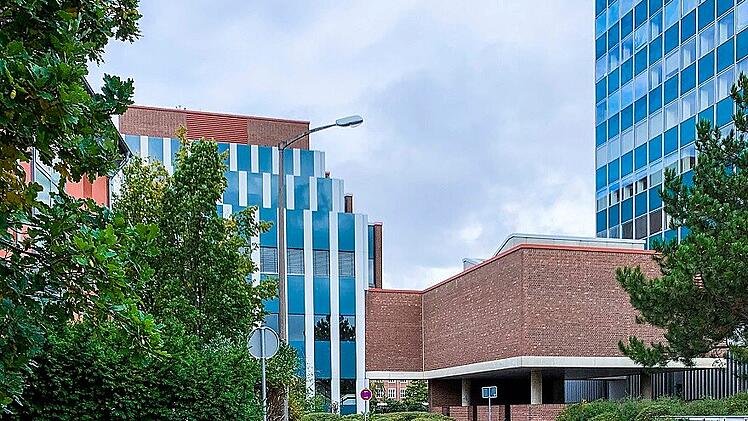 Stadt Erlangen verlangt Busch-Beschneidung - Hotel reagiert mit Humor: "Sch&auml;me mich f&uuml;r diesen Anblick"