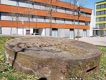 Alt und Neu liegen beim Münnerstädter Schönborn-Gymnasium eng nebeneinander. Vor 50 Jahren wurde erstmal Französisch als Alternative zu Altgriechisch angeboten. Doch bis heute wählen einige Schüler die alte Sprache.  Foto: Thomas Malz