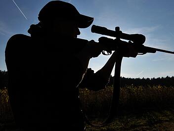 In Oberharnsbach, einem Ortsteil der oberfränkischen Marktgemeinde Burgebrach hat ein bislang unbekannter Schütze eine Taube erschossen. Symbolfoto: Philipp Schulze/dpa