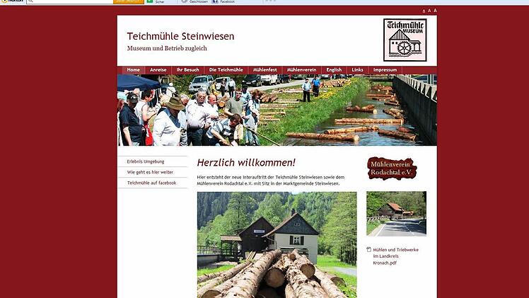 Dies ist die Ansicht der neuen Homepage der Teichmühle Steinwiesen  Foto: Susanne Deuerling