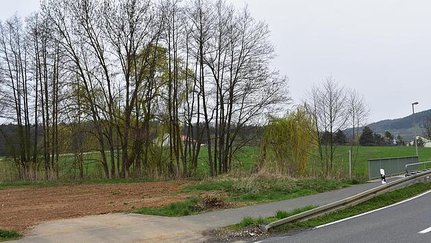 Hier soll das "Naturhotel" entstehen. Vorne an der Stra&szlig;enkurve ist das Geb&auml;ude mit Empfang und Parkpl&auml;tzen vorgesehen. Einige der Weiden m&uuml;ssen gef&auml;llt werden, um eine Br&uuml;cke als Verbindung zur Wiese zu schaffen. Dort werden die Chalets sowie ein Tagungshaus und eine Restaurant gebaut. Foto: Petra Malbrich