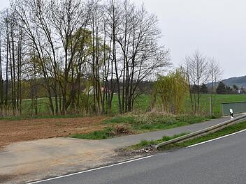 Hier soll das "Naturhotel" entstehen. Vorne an der Straßenkurve ist das Gebäude mit Empfang und Parkplätzen vorgesehen. Einige der Weiden müssen gefällt werden, um eine Brücke als Verbindung zur Wiese zu schaffen. Dort werden die Chalets sowie ein Tagungshaus und eine Restaurant gebaut. Foto: Petra Malbrich