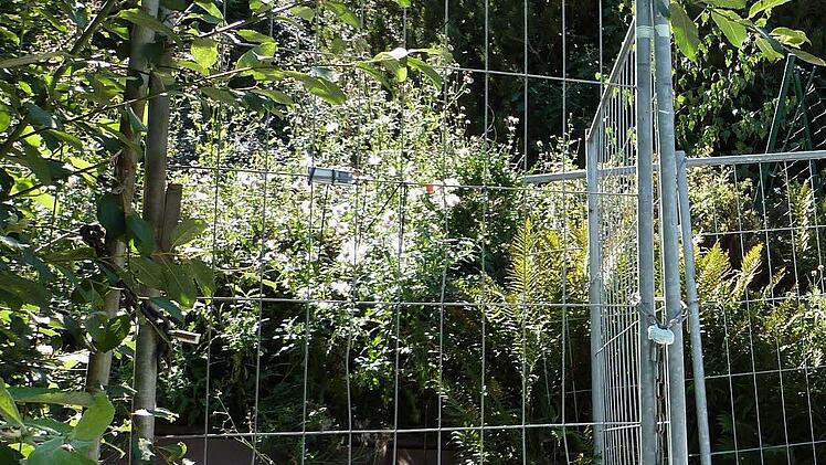 Die Zugänge zum Grundstück wurden von der Polizei versperrt und versiegelt. Foto: Werner Reißaus