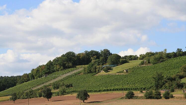 Hier gedeihen "Unterhaider Röthla" und "Staffelberger Spitzelberg".