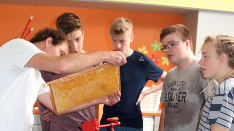 Ist die Wabe leer? Frank Lehmann, Tobias (verdeckt), Henrik, Kai, Pauline (v. l.)  Foto: Johanna Blum