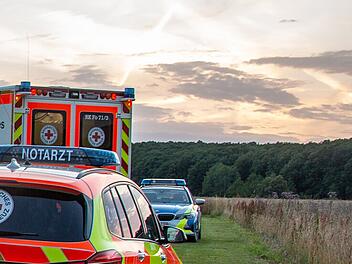 Tödlicher Unfall in Dietfurt: Mann aus Franken stirbt bei Baumfällarbeiten