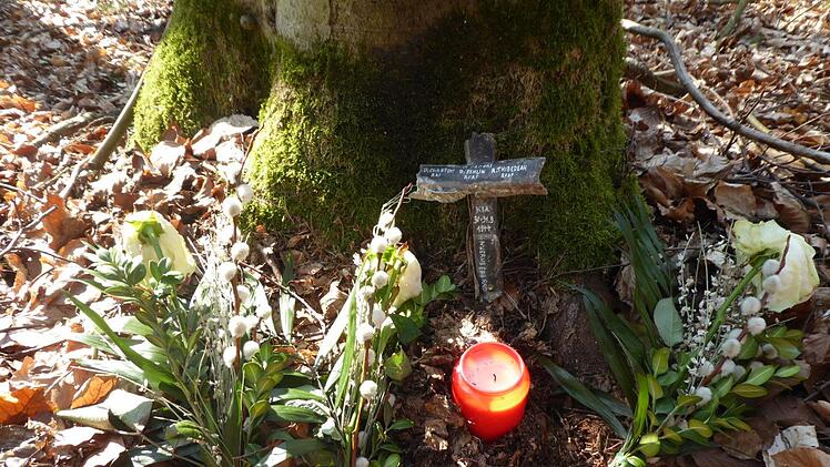 An der Absturzstelle gestalteten die Spurensucher eine kleine Gedenkstunde und legten ein aus Wrackteilen gefertigtes Kreuz nieder. Als Ergebnis des Treffens entstand die Idee, hier vielleicht einen Gedenkstein aufzustellen.