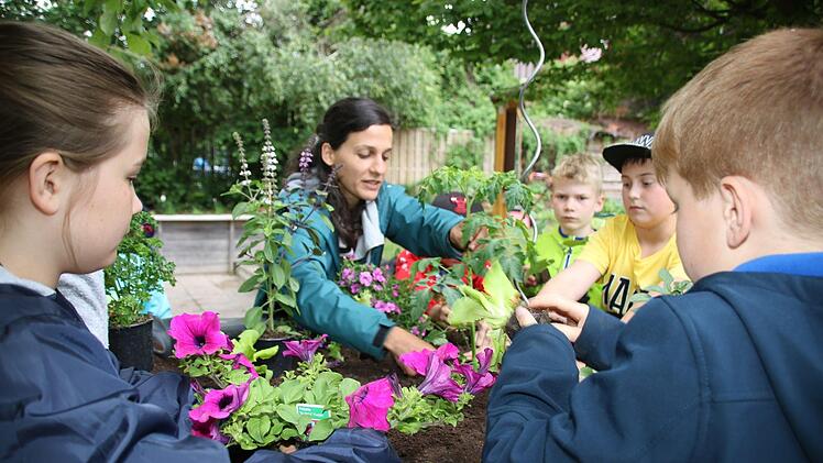 Impressionen vom Pilotprojekt der Kulmbacher Urban-Gardening-Gruppe mit den Melkendorfer Grundschülern Dagmar Besand