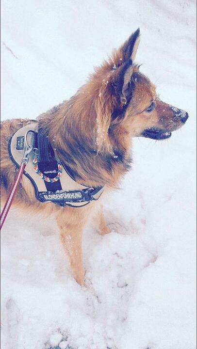Schnee und Eis - Die schönsten Aufnahmen aus Franken
