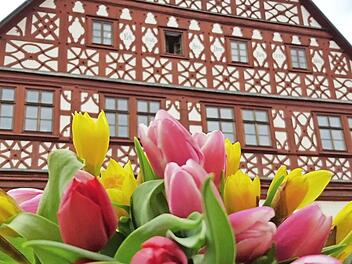 Mit einem Meer an Blüten versuchen die Eberner, ihre Stadt schöner zu machen. Foto: Eckehard Kiesewetter